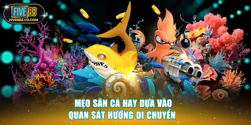 Mẹo săn cá hay dựa vào quan sát hướng di chuyển 