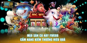 mẹo săn cá hay