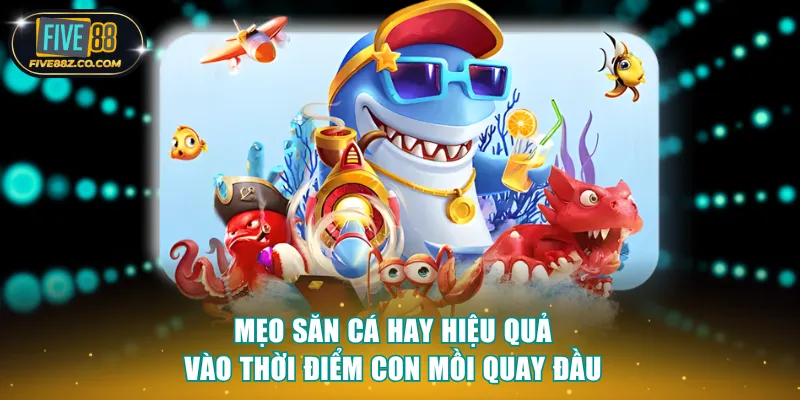 Mẹo săn cá hay hiệu quả vào thời điểm con mồi quay đầu